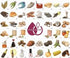 The Master Wine Aroma Kit - 88 aromas