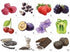 Aromaster Red Wine 12 aromas
