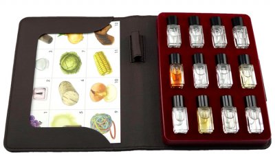 Aromaster Wine Faults 12 aromas