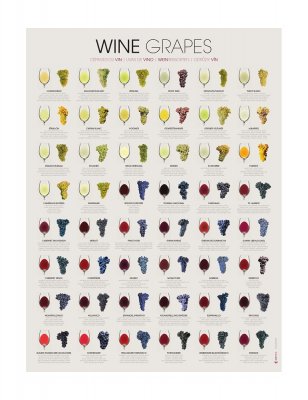 DRUVOR Affisch Poster