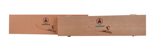 Laguiole CHAMPAGNE SABER
