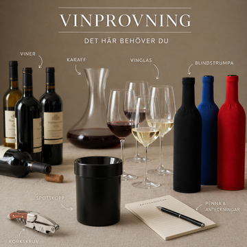 Vinprovning – så här gör du steg för steg