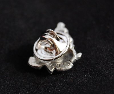 Smycke/pin Druvklase