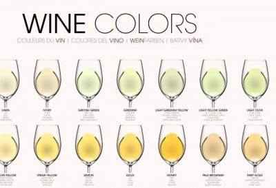 VINETS FÄRGER Poster Affisch