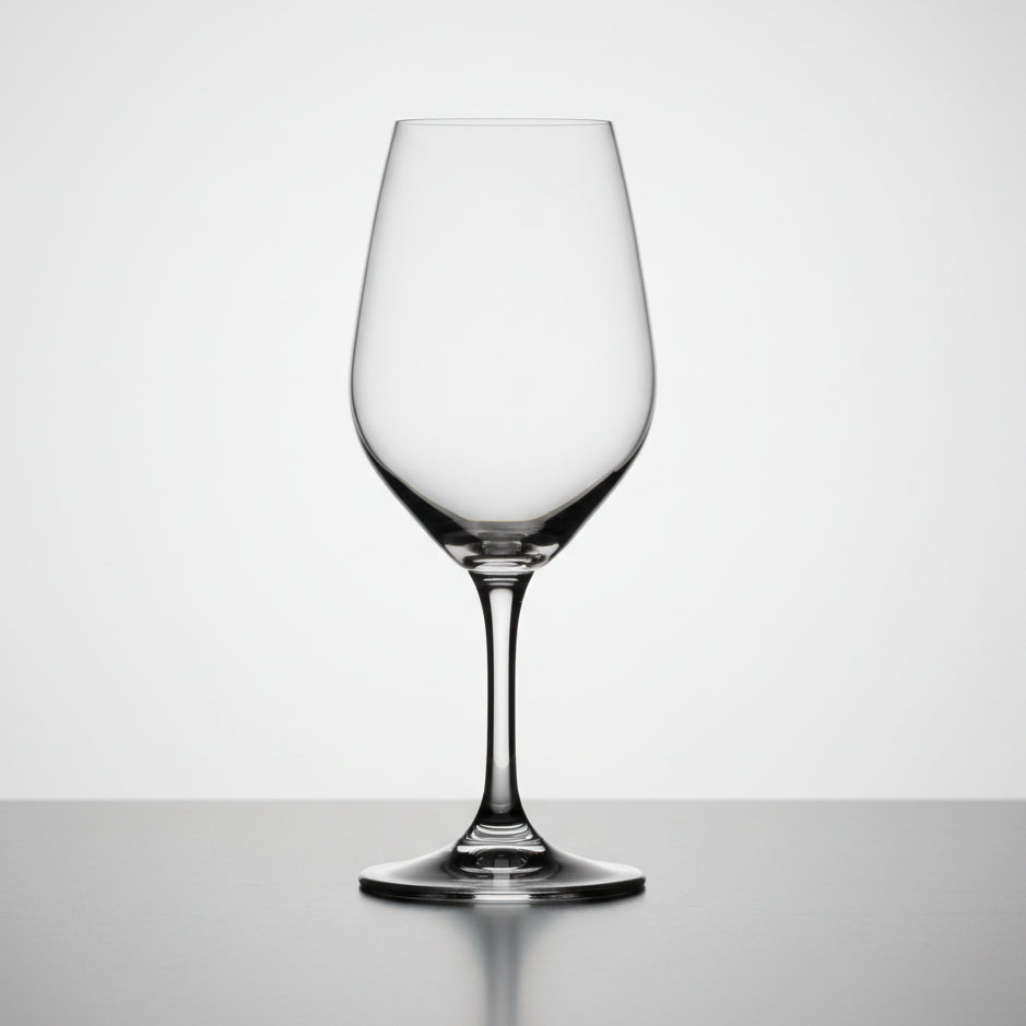 Spiegelau Authentis Expert Tasting Vinprovningsset