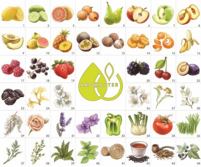 The Master Wine Aroma Kit - 88 aromas