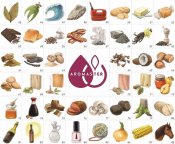 The Master Wine Aroma Kit - 88 aromas