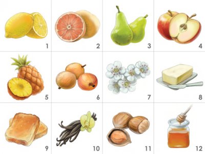 Aromaster White Wine 12 aromas