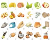 Aromaster White Wine 24 aromas