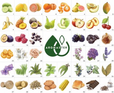 The Master Whisky Aroma Kit - 88 aromas