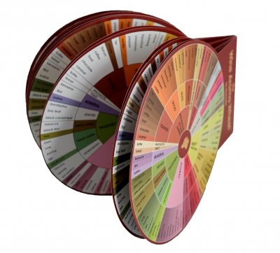 Aromaster Whisky 12 aromas