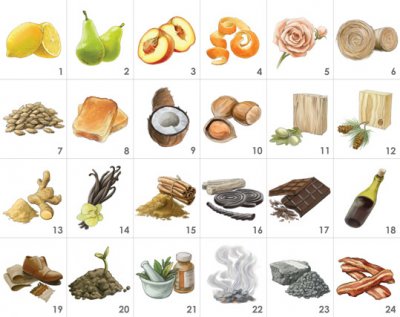 Aromaster Whisky 24 aromas