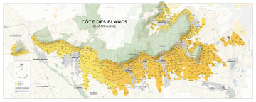Mapping Champagne – Côte des Blancs