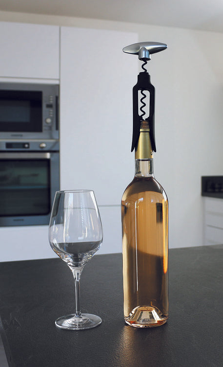 Korkskruv ”Evighetsspiral”